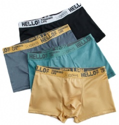 Men's underwear-5